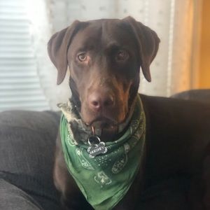 Meet your Posher, Ryan